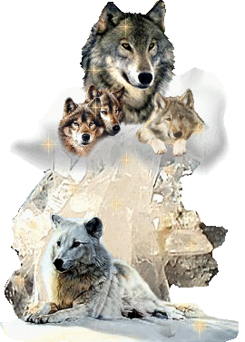 famille loups